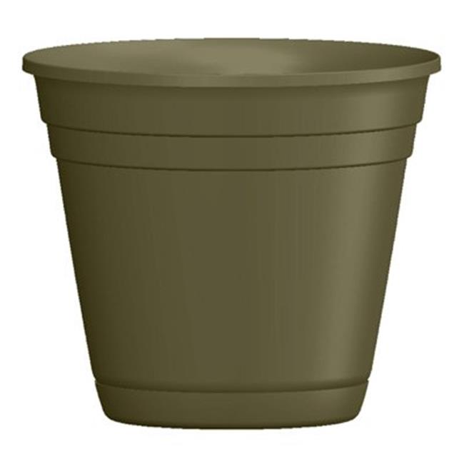 PLANTER/SAUCER OLIVE GREEN 6IN