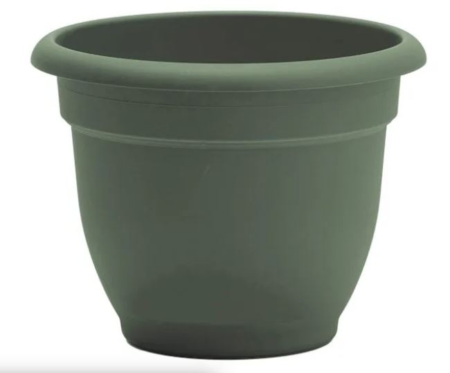 PLANTER RND LIVING GREEN 10"