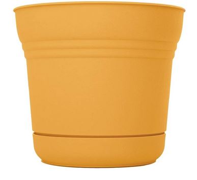 PLANTER W/SAUCER MANGO 7"