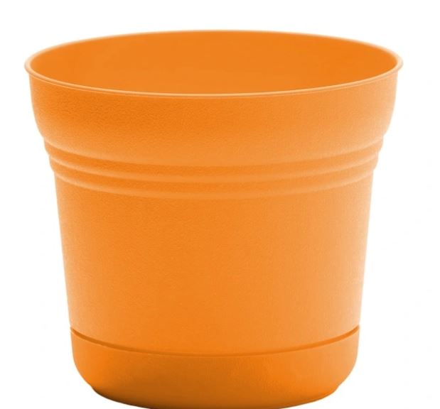 BLOEM PLANTERS W/SAUCER 5" MANGO