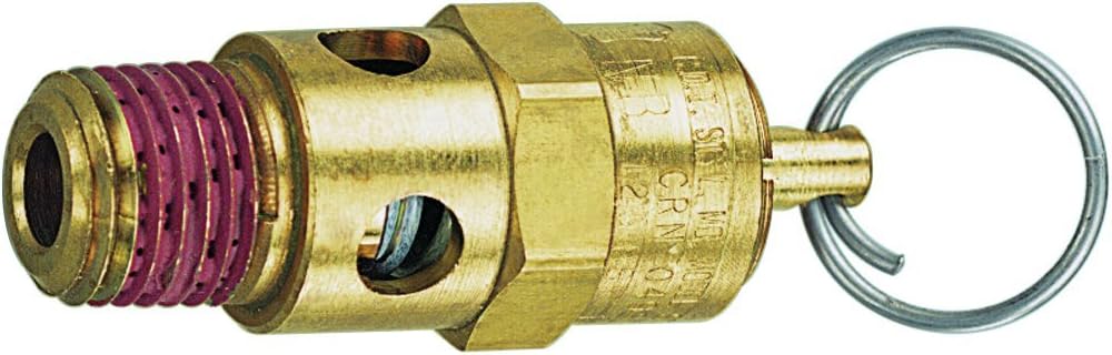 Tru-Flate 21-707 Safety Valve, 1/4 in, 125 psi, Brass