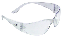 MSA 10006315 Close Fitting Clear Frame Safety Glasses With Anti-fog, Clear