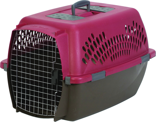 Aspenpet Pet Porter 21090 Fashion Pet Carrier, L, Plastic, Black/Deep Red