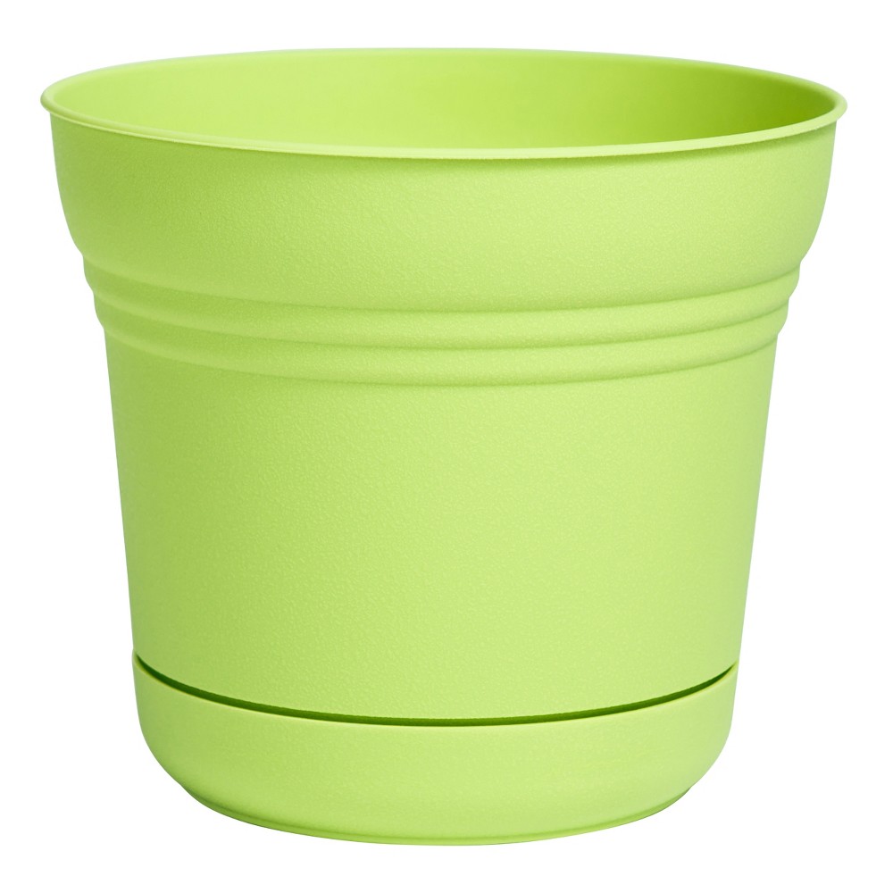 BLOEM PLANTER 12"SATURN HON/DEW