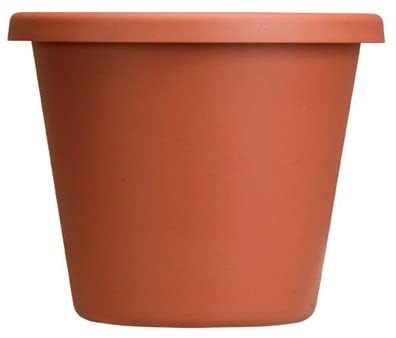 CLASSIC POT CLAY 8"" PLASTIC