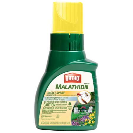 ORTHO MAX MALATHION INSECT CONC