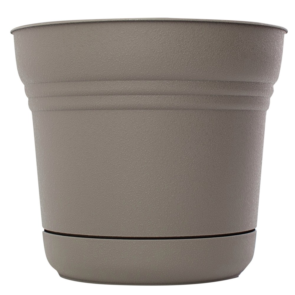 BLOEM 12"SATURN PLANTER PEPPERCO