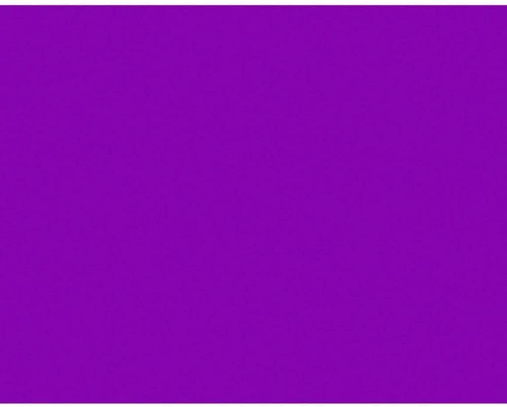 BAZIC POSTER BRD FL/PURPLE 22X28