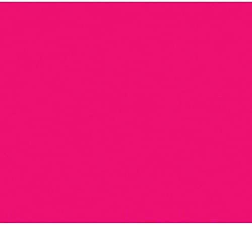 BAZIC POSTER BRD F/FUSCHIA 22X28