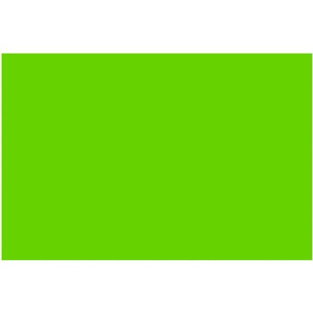 BAZIC FOAM BRD FL/GREEN 20"X30"