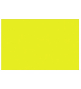 BAZIC FOAM BRD FL/YELLOW 20"X30"