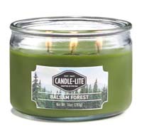 Candle-lite Everyday Essentials Balsam Forest 3-Wick Jar Candle - Green 10OZ
