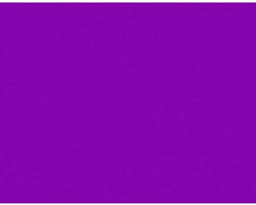 BAZIC POSTER BRD FL/PURPLE 22X28