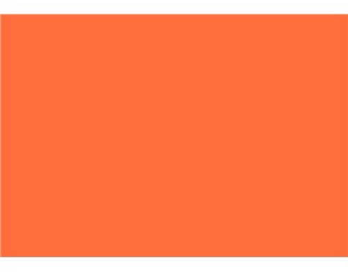 BAZIC FOAM BRD FL/ORANGE 20"X30"