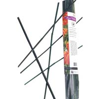STAKES BAMBOO GREEN - 2FT