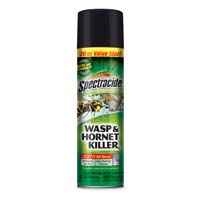 SPRAY WASP/HORNET 20OZ