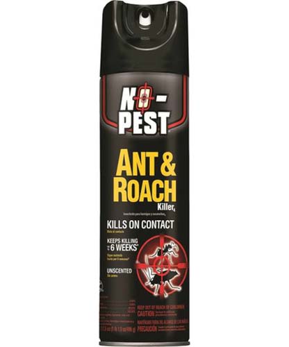 SPRAY ANT AND ROACH 17.5OZ