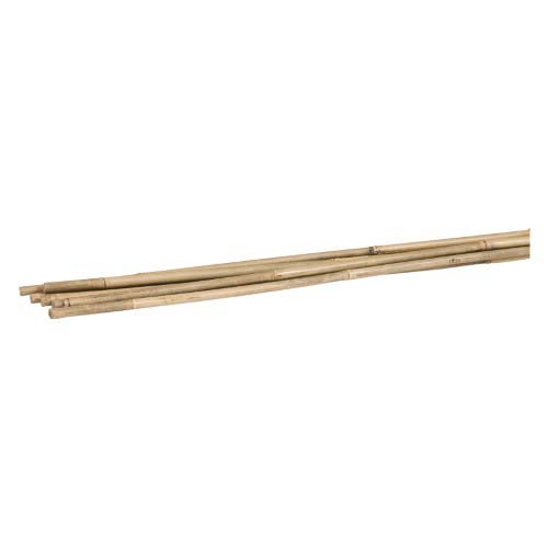 STAKE BAMBOO NATURAL 6/BAG 6FT