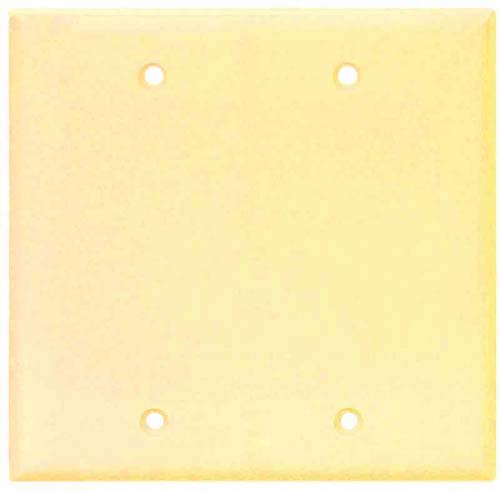 CW WALLPLATE BLANK 2G IV #2137V