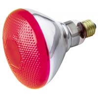 BULB FLOOD 100W RED OUTDOOR #S44