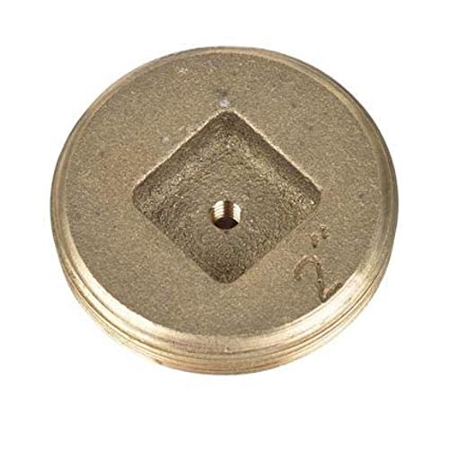 PLUG CLEAN/OUT BRASS 2 #42741