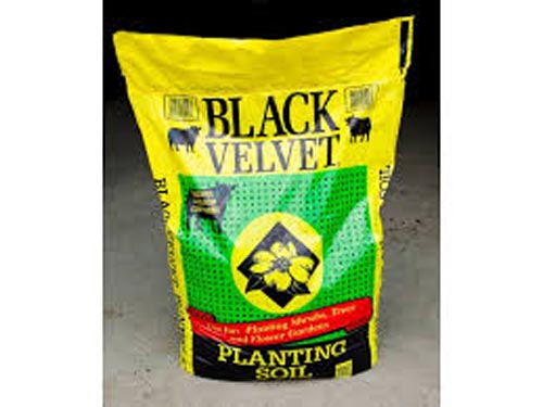 BLACK VELVET PLANTING SOIL 1CF