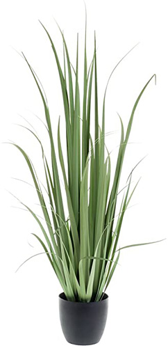 PLANT YUCCA 150CM IN BLK PP POT