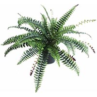 PLANT FERN 150CM IN BLACK PP POT