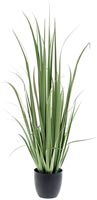 PLANT YUCCA 150CM IN BLK PP POT