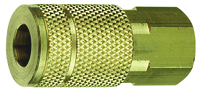 Tru-Flate 13-135 Coupler, 1/4 in FNPT, Brass