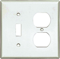 Eaton Wiring Devices 2138W-BOX Standard Combination Wallplate, 2-Gang,