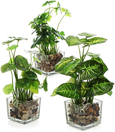 ARTIFICAL PLANT IN GLASS POT