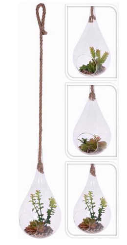 Artificial Plant Cactus in Hanging Glass