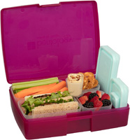 BENTO LUNCH KIT RASPBERRY