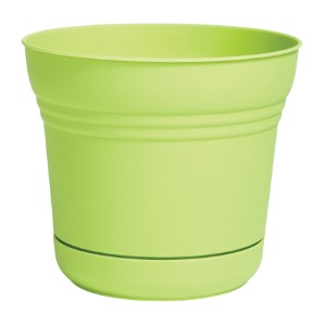 Bloem Pot Planter, 1 Cu-ft Capacity, 9.8 in W x 8-1/2 in H, Plastic Resin,