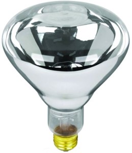 LAMP REFLEC HEAT CLR R40 125W