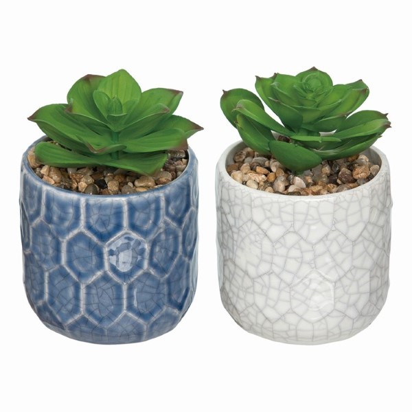 CER FAUX SUCCULENT DECOR 2ASST