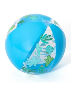 Designer Beach Ball