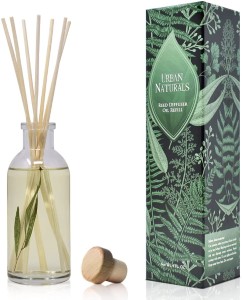 REED DIFFUSER BAMBOO GARDEN 100M
