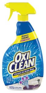 OXICLEAN 95040 Carpet and Area Rug Stain Remover, 24 oz Bottle