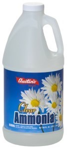 Austin 51 Multi-Purpose Clear Ammonia, Colorless, 64 oz Bottle