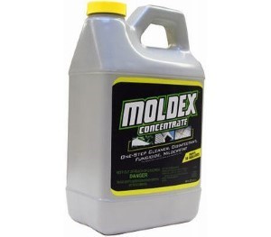 MOLDEX DISINFECTANT  CONCENTRATE