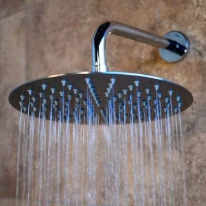 ISLAND FALLS SS SHOWERHEAD MATTE