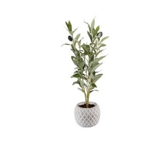 Olive Branch Ceramic Pot 14"