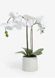 Real-touch Orchid Ceramic Pot WH