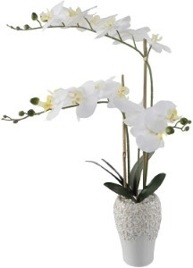 Real-touch Orchid Cermaic Vase