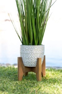 Onion Grass Cathdral W/Stand