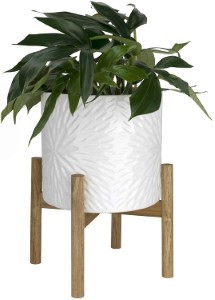 Opening Plant Pot W/Wood Stand