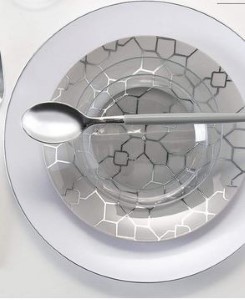 White/Silver Dinner Plates 10Pk