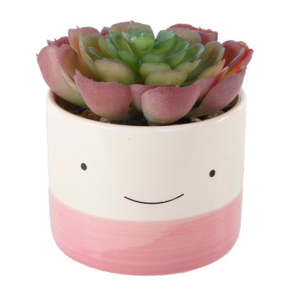 HAPPY FACE SUCCULENT PK GN POT